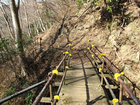 20160108hike (66)
